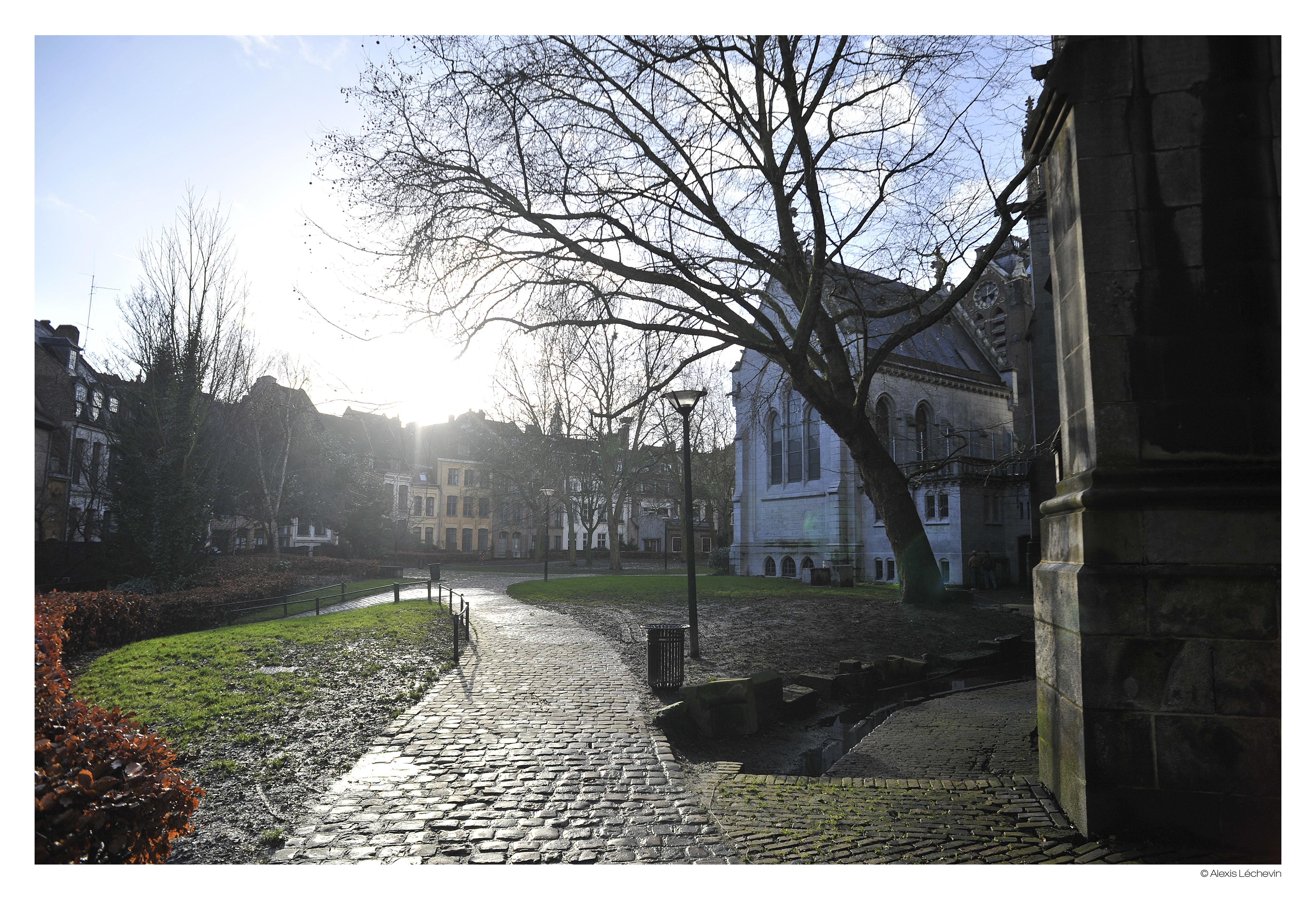 Hotel De La Treille Lille Eksteriør bilde
